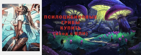 герыч Бородино