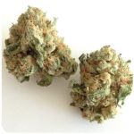 Шишки "White Widow"  (Белая вдова)  Гидропоника -  Бошка VHQ в Весьегонске